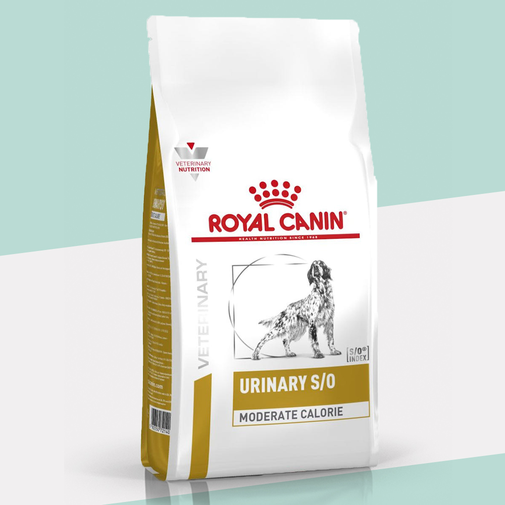 로얄캐닌 독 유리너리 S/O 모더레이트 칼로리 1.5KG (강아지) 결석사료