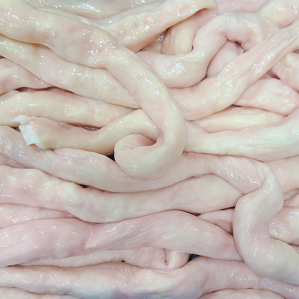 한우대창1kg 손질 대창구이 통대창, 캠핑음식 요리