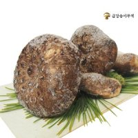 자연산 능이버섯 [특품] 냉동 1kg / 건조100g [금강]