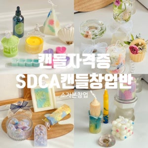 SDCA 캔들창업반클래스
