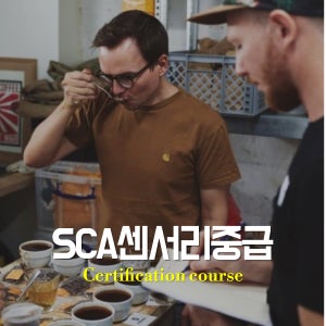 SCA센서리여행(중급)