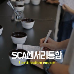 SCA센서리여행(초급+중급)