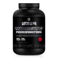 삼대오백 메시브 WPC 프로틴 웨이 100% 유청단백질 헬스보충제 초코맛 2kg