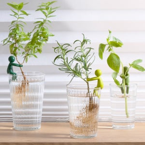 리프렌드 식물지지대 화초 몬스테라 꽃 지지대 수경재배 지지대