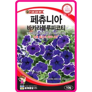 페츄니아 씨앗 / 10립 페튜니아 블루피코티 꽃씨 꽃씨몰 야생화 봄꽃 종자