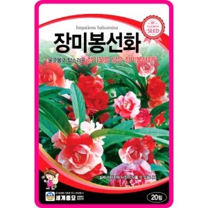 장미봉선화 씨앗 / 20립 혼합 겹봉선화 꽃씨 꽃씨몰 야생화 봄꽃 종자