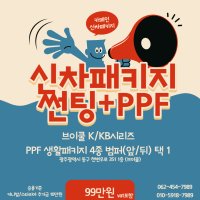 광주신차패키지(썬팅 PPF)