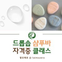 [서울 경복궁역/서촌] 드롭솝 약산성 샴푸바 자격증 클래스