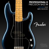 펜더 아메리칸 프로페셔널2 프리시젼 5현 베이스 MN DKN / Fender American Professional II Precision Bass V