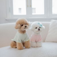 코코시앙 편안한 강아지 고양이 실내복 외출복 코비 티셔츠 (S-2XL)