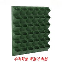 수직화분 벽걸이 벽면 베란다 화분 실물 화초 수직정원