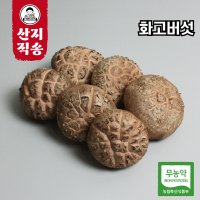 [농사임당] 친환경 무농약 화고버섯 200g / 400g / 800g