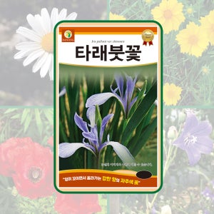 (다농,뉴코리아팜) 타래붓꽃 2g 잎이 꼬이면서 올라가는 강한향의 자주색 꽃 씨앗