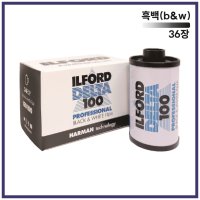 일포드 델타 100(135-36)