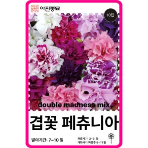 겹페튜니아 씨앗 더블 매드니스 혼합 / 10립 겹페츄니아 꽃씨 꽃씨몰 봄꽃 종자