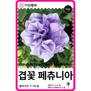 겹페튜니아 씨앗 더블 매드니스 라벤더 / 10립 겹페츄니아 꽃씨 꽃씨몰 봄꽃 종자