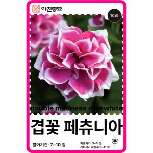 겹페튜니아 씨앗 더블 매드니스 로즈&화이트 / 10립 겹페츄니아 꽃씨 꽃씨몰 봄꽃 종자