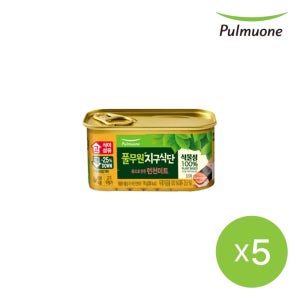 풀무원 식물성지구식단 런천미트 190gX5개