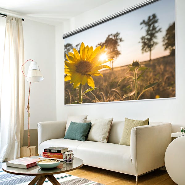 아라크네 빔스크린 롤타입 슬림형 가로200cm x 세로160cm (100인치)