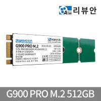 리뷰안 G900프로 M.2 SSD 512GB 2242 2260 2280 PC 노트북