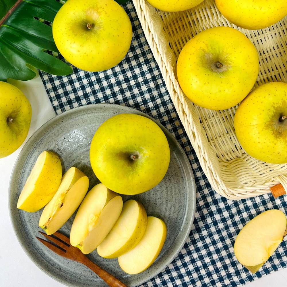 청송사과 시나노골드 껍질째 먹는 꿀땡이사과 황금 못난이 흠집 3kg <b>선물</b>세트