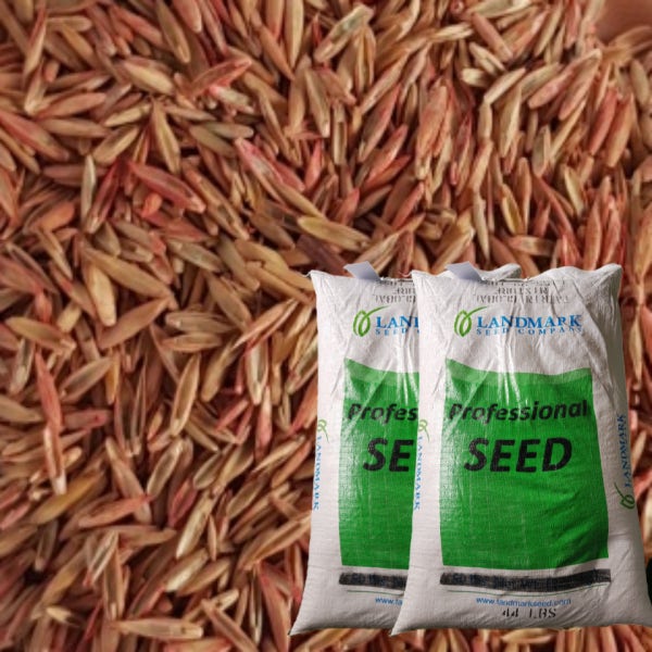 혼합종자 1kg 풀씨 산소 잔디씨 혼합 잔디씨앗 산림 복구 법면녹화