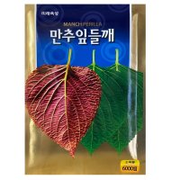 깻잎씨앗 종자 6000립 미래