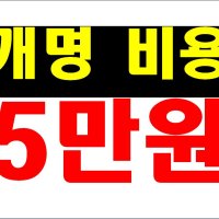 개명허가신청[서류 발급, 법원 납부비용, 부가세 포함]