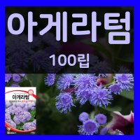 아게라텀씨 100립 아게라텀 씨앗 불로화 꽃 씨 종자