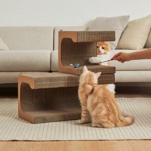 고양이 스크래쳐 수직 터널 숨숨집 캣트리스 미야옹철 김명철 수의사