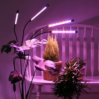 노바 잎파랑 LED 식물등 월로우 다육 성장 식물조명 생장 재배 전구 제라늄 키우기
