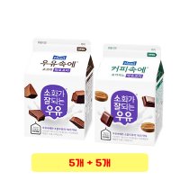 매일유업 우유속에 코코아 300ml x 5개 + 커피속에 모카치노 300ml x 5개