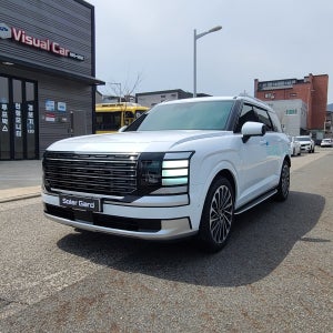 대전 청주 세종 비주얼카 팰리세이드 신차패키지