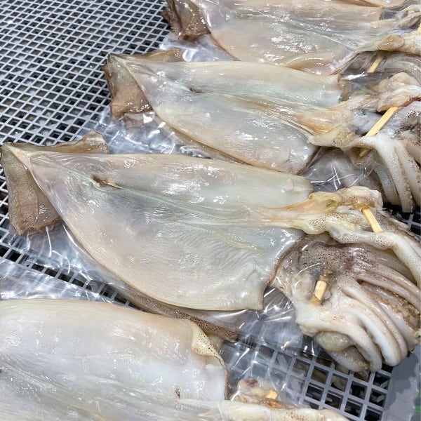 반건조 오징어 10미 왕특대 마른 반건오징어 피데기 건어물