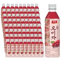 양반 오미자차 500ml x 72병 (24병 3세트)