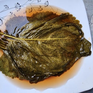 깻잎장아찌 10KG 신수코리아