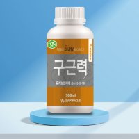 구근력 500ml 마늘 양파 비대제 코리아아그로