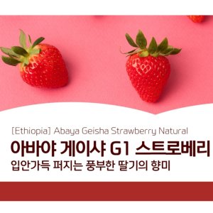 첼바 내추럴,아리차,우반치,모모라,코케허니