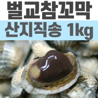 참꼬막 1kg 벌교꼬막 제철 산지직송