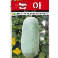 동아 씨앗 20립 [23년포장] 동과 종자