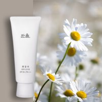 한율 흰감국 광채 선크림 70ml SPF50+피부톤업