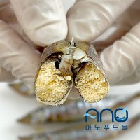 고소한 알이 가득 열빙어 550g 600시샤모 도리뱅뱅