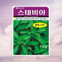 스테비아 허브 씨앗 50립 허브씨 아람종묘