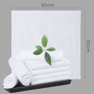 30X30cm / 40g / 순면 물수건 10개, 대형