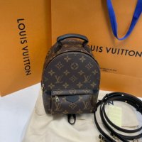 Louis Vuitton 루이비통 팜 스프링스 미니 백팩 모노그램 M44873