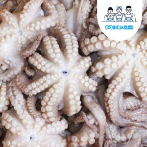 바다사람들 손질 세척 통문어 - 국내산 문어 한마리 제수용 잔치용 돌문어 활문어 생물 냉동