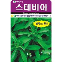 아람종묘 스테비아 나무 씨앗 50립