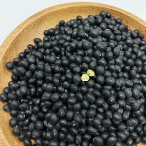 자연 그대로의 건강한 콩 검은콩 서목태콩 쥐눈이콩