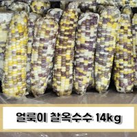 얼룩이옥수수 14kg