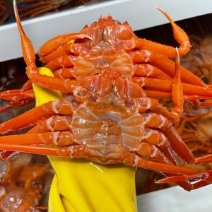 국산 제철 박달홍게 대게 울진 자숙 홍게 4kg 당일조업